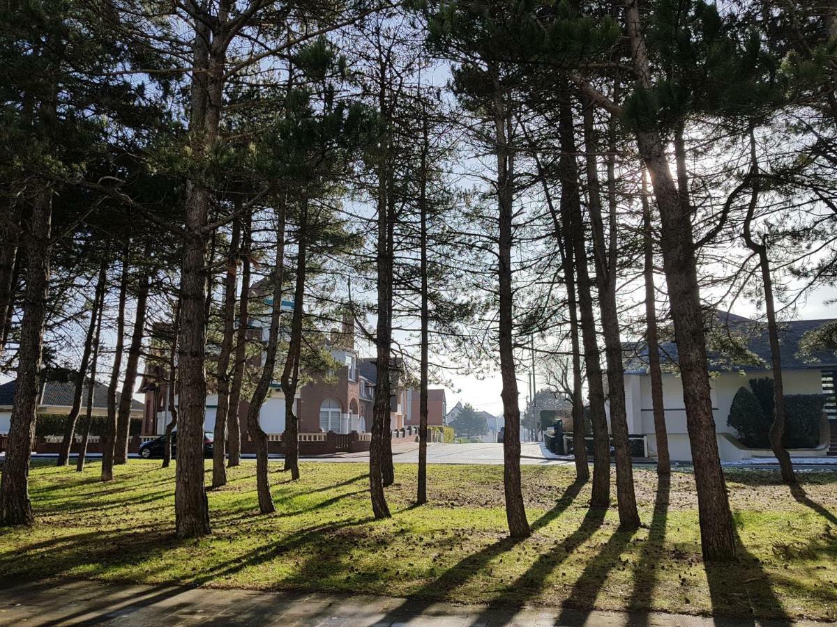 Sunny Days - App 60 M2 Avec Balcon, 4 Pers, 3E Etage, Au Calme Et Ensoleille Lejlighed Le Touquet Eksteriør billede